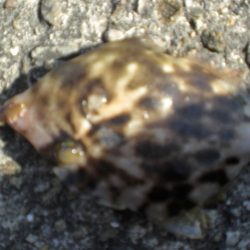 久しぶりの市役所裏