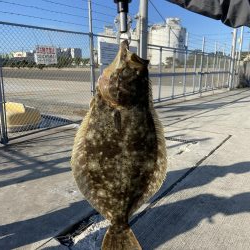 飲ませ青物のはずが