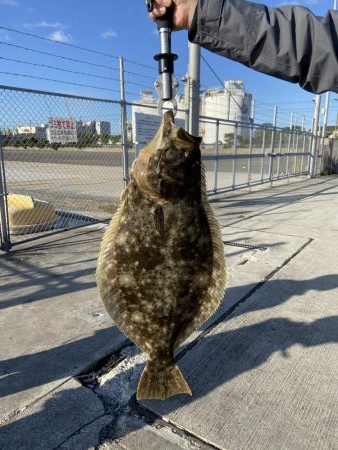 飲ませ青物のはずが