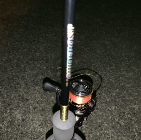 ハマっているアジング