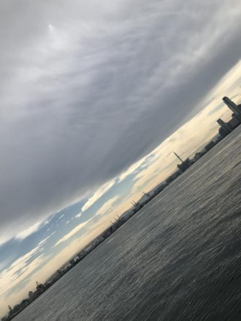 舞洲でなんとか1匹