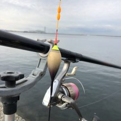 チヌベスト最高！