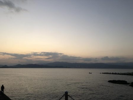 バケツから忽然と消えたタチウオ