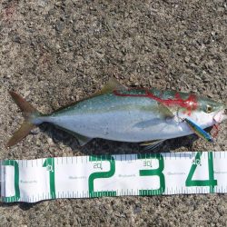 ルアーの勝利！？