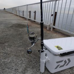 今日はついていない!?