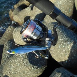 日没後に連続ヒット有り。