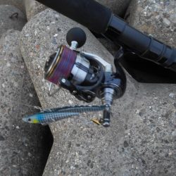 夕方の1時間勝負。