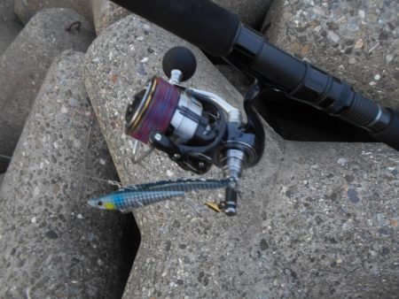 夕方の1時間勝負。