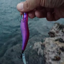 くやしいです( TДT)