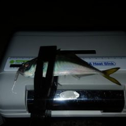 外出禁止の前に