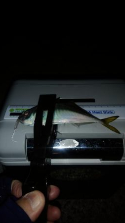 外出禁止の前に