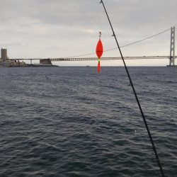 ひさびさにサビキ