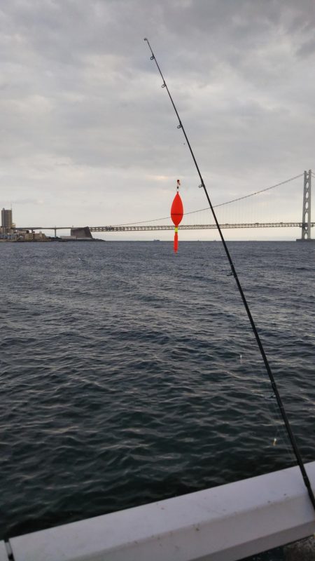 ひさびさにサビキ