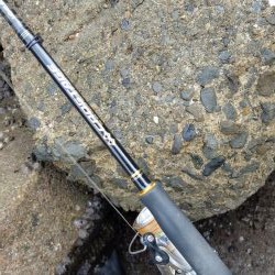 TEAMゲッソー調査隊