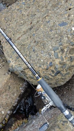 TEAMゲッソー調査隊