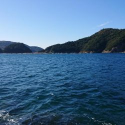 アオリイカを求めて~11月24日