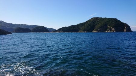 アオリイカを求めて~11月24日