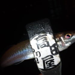 ライトキャロちょい投げ