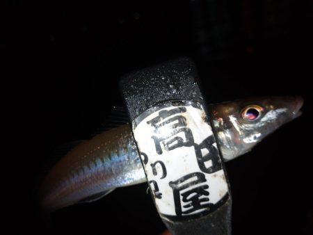 ライトキャロちょい投げ