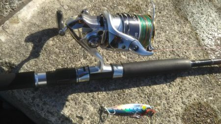 ハマチ釣れたけど…