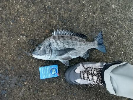 少し波が、落ちすぎたけど