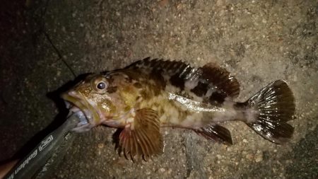 ストラクチャー際