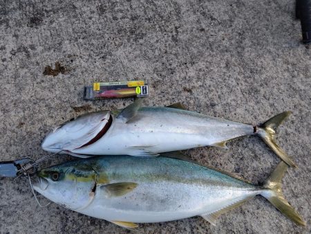 ショアジギング