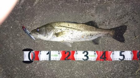 開始早々に結果が出る