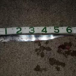 ショアジギでタチウオ!!