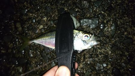 澄み潮を避けて