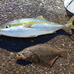 ショアジギング