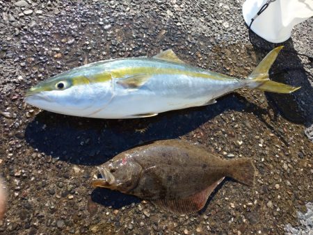 ショアジギング