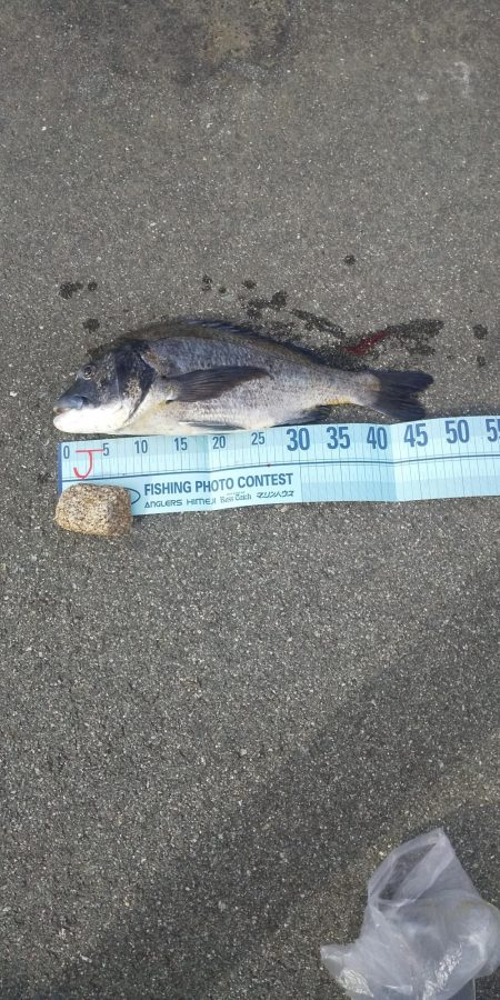 香良州海岸沖でゴムボートフィッシング