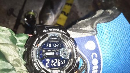 ぶらシーバス！！