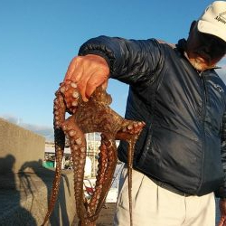 今年も不発の東二見西水路