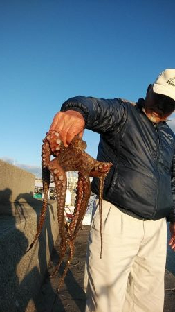 今年も不発の東二見西水路