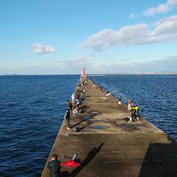 播磨新島調査後に江井ヶ島へキス釣行