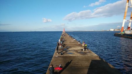 播磨新島調査後に江井ヶ島へキス釣行