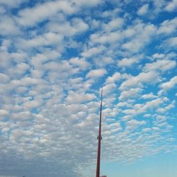 日没前の時合い狙い