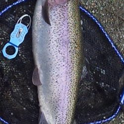 管理渓流釣り場