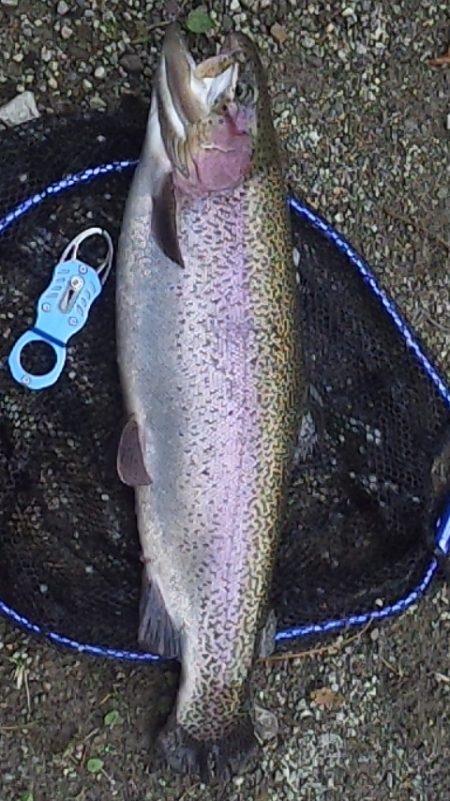 管理渓流釣り場