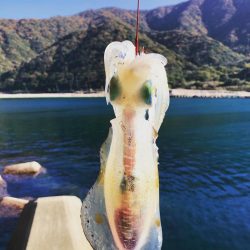 15打数8安打！！