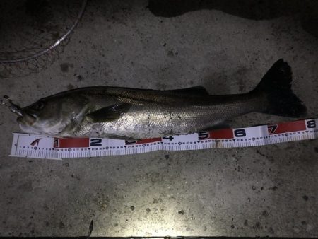 人生初のランカー獲ったどー！