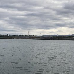 なかなかのヒキ!