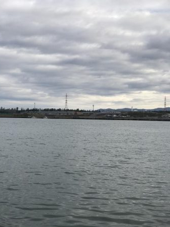 なかなかのヒキ!