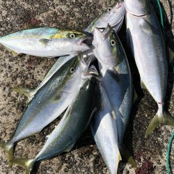 ショアジギング