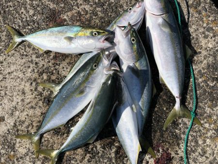 ショアジギング