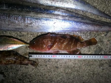 ドラゴンゲット