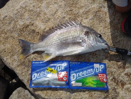 フラットフィッシュゲーム