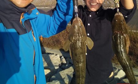 フラットフィッシュゲーム③